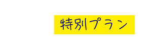 特別プラン